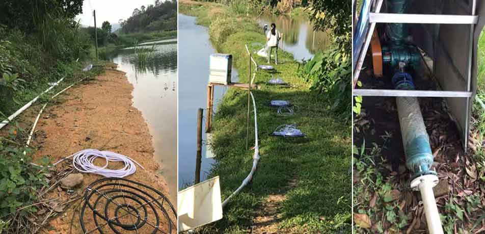 微孔曝氣羅茨風機電流大的原因 微孔曝氣羅茨風機電流大的原因